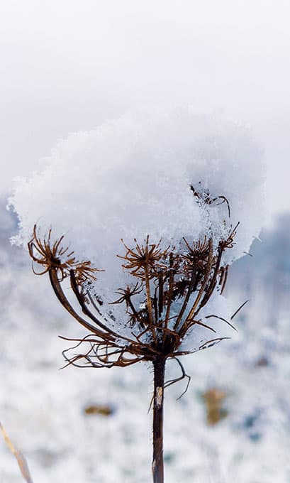 Winter Genussmomente Am Arlberg